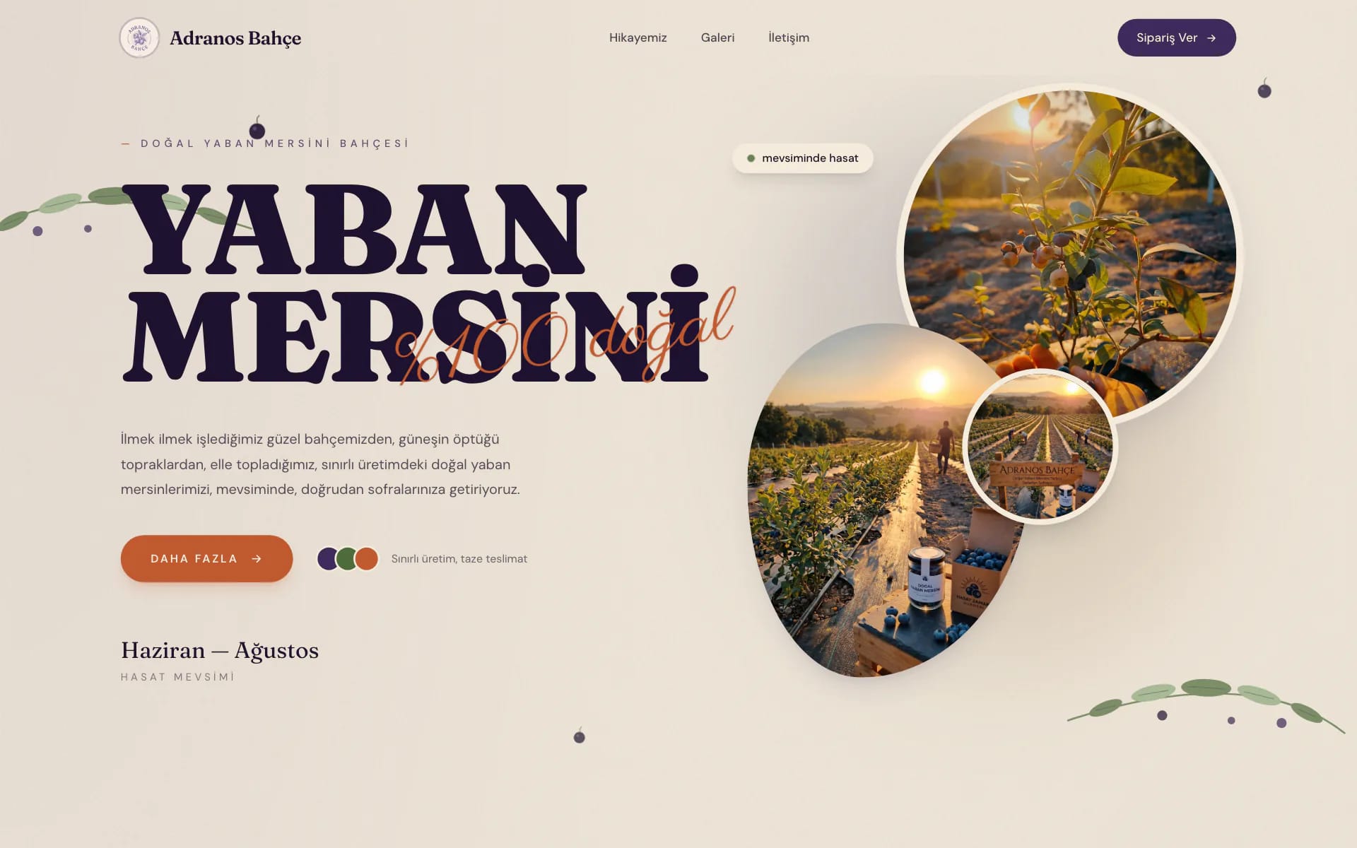 Adranos Bahçe ana sayfası: “Yaban mersini” başlığı ve bahçeden fotoğraflar